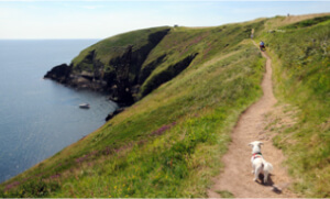 Ardmore Cliff Walks