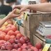 Dungarvan Farmers Market