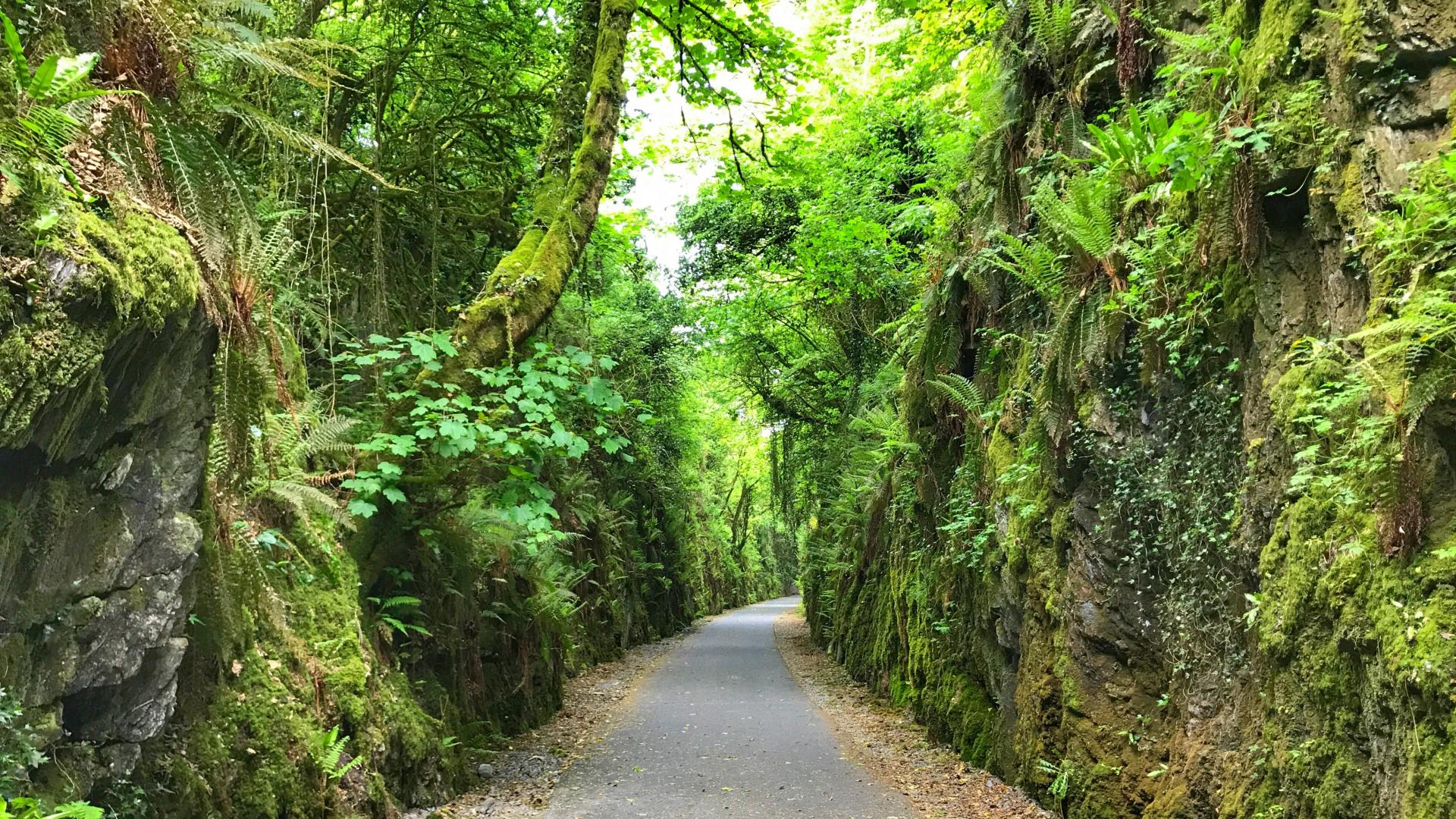 waterford greenway cycle