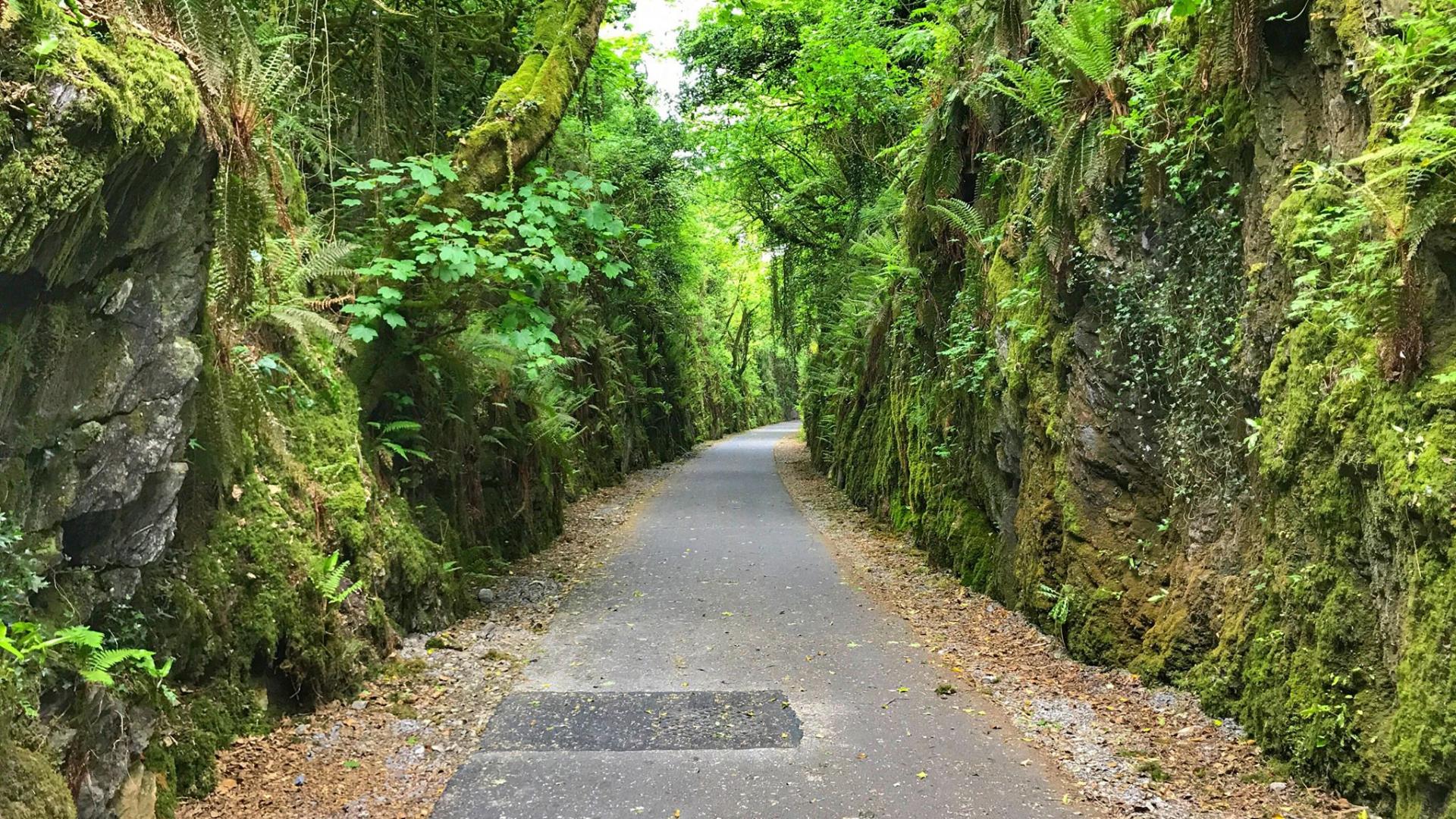 Waterford Greenway Accommodation