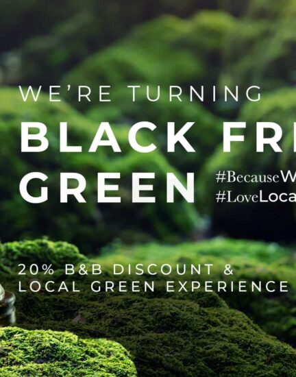 green-friday-2023-hero